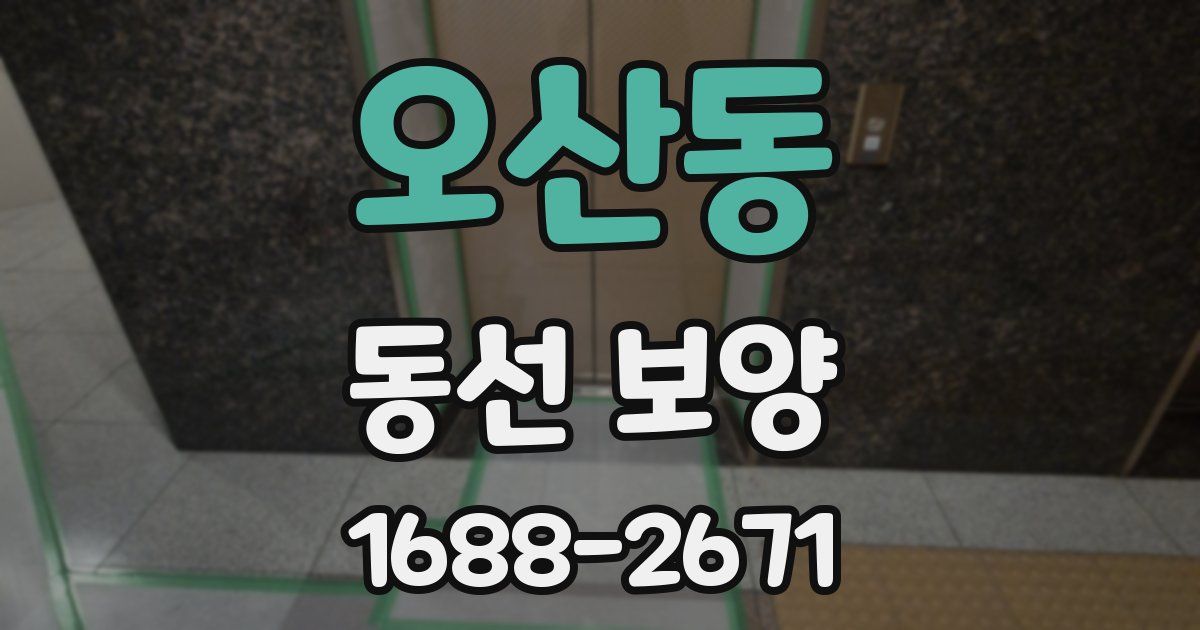 오산동 동선 보양