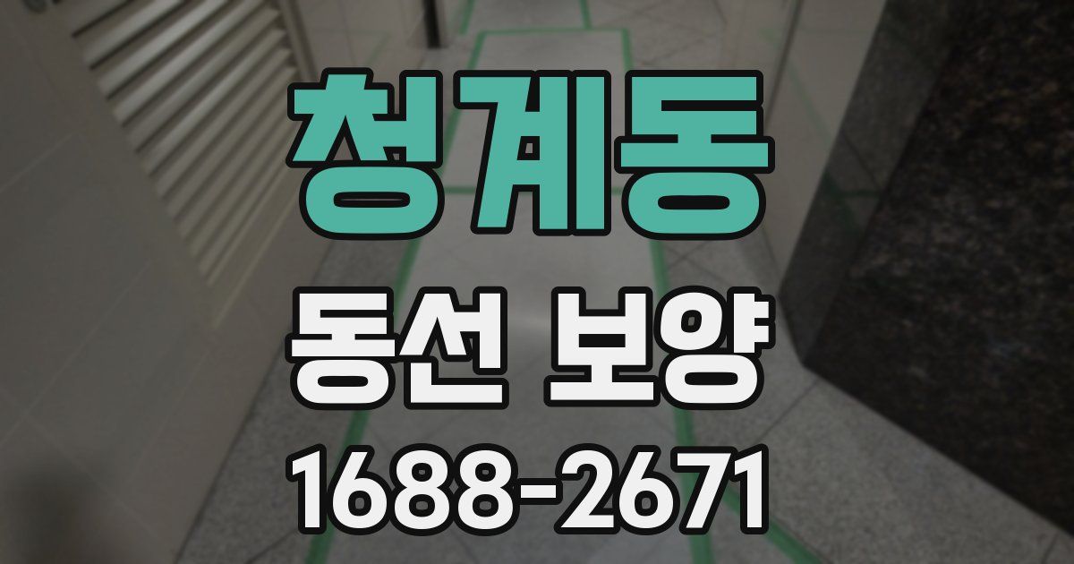 청계동 동선 보양