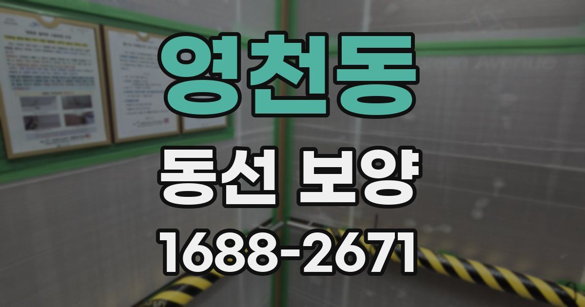 영천동 동선 보양