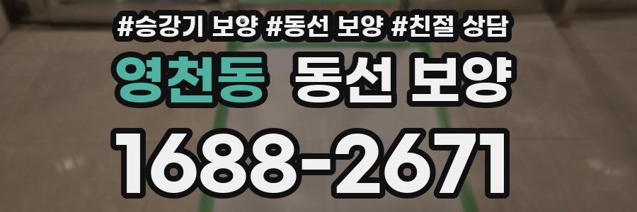영천동 동선 보양