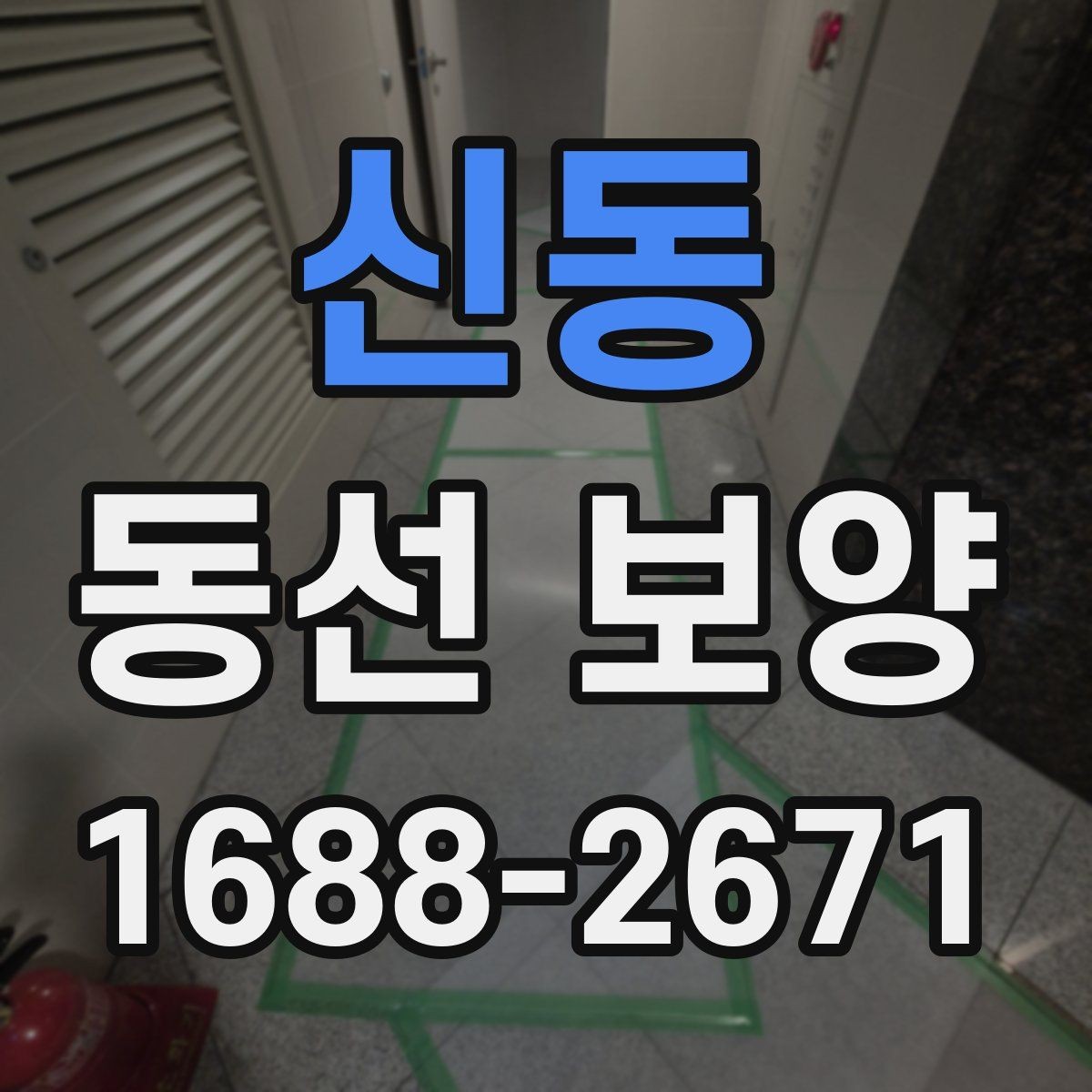 신동 동선 보양 비용은 어떤 요소로 달라질까