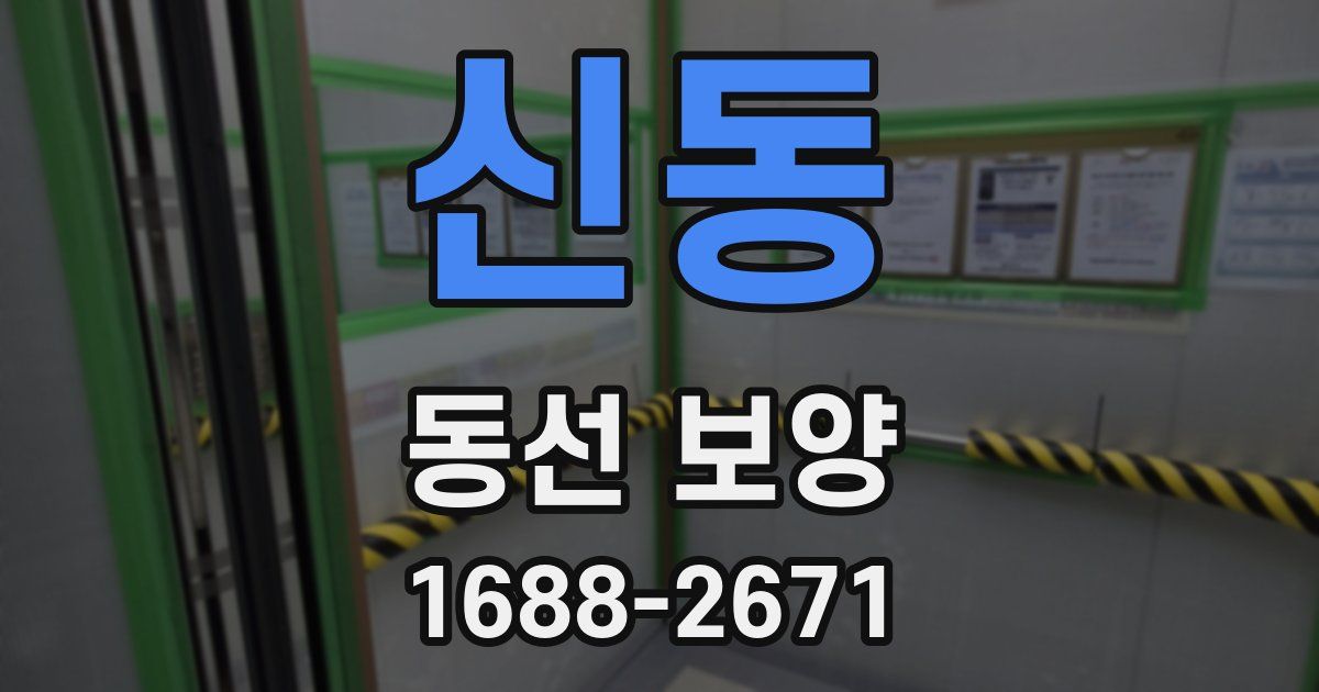 신동 동선 보양