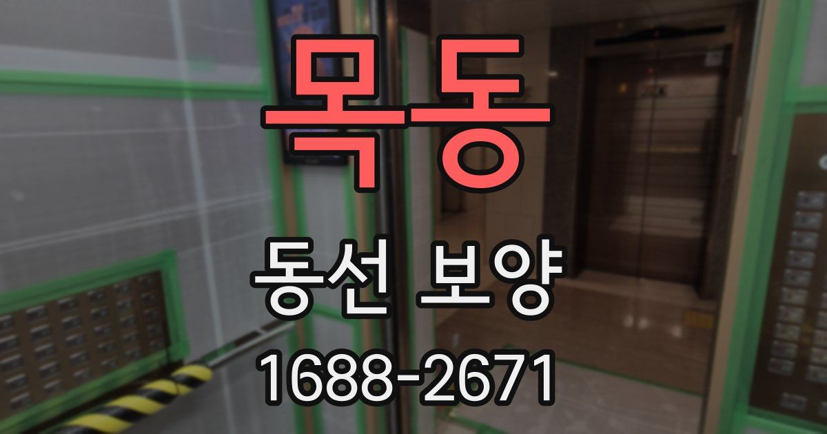 목동 동선 보양