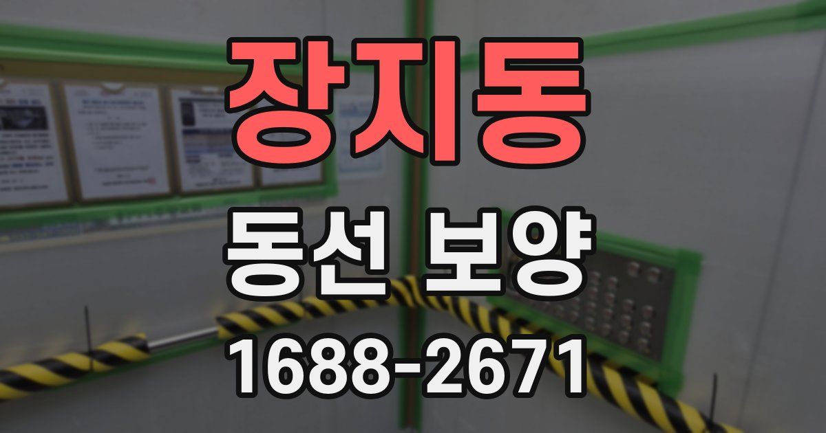 장지동 동선 보양