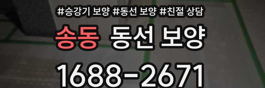 송동 동선 보양
