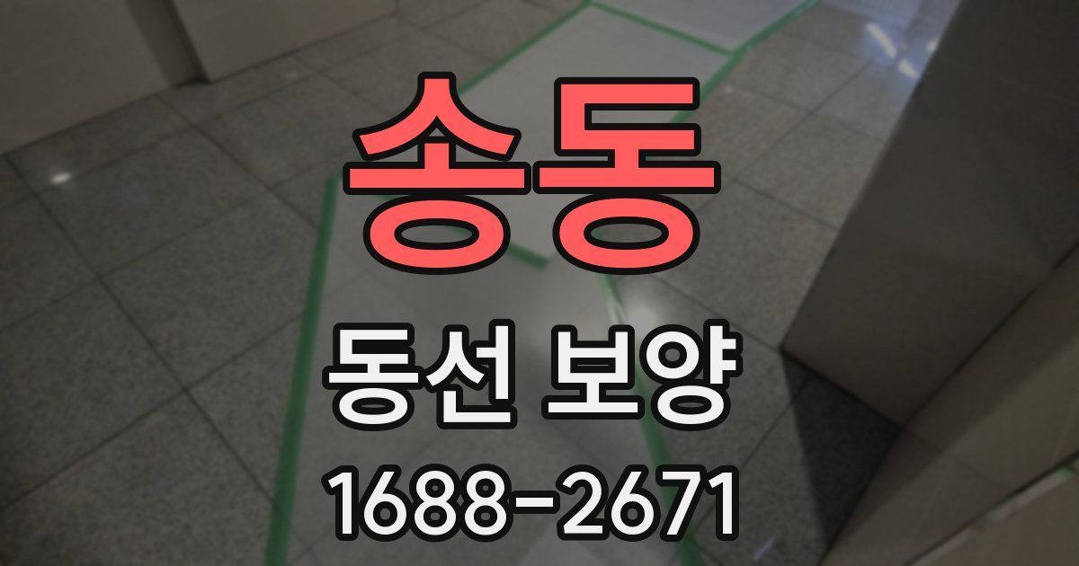 송동 동선 보양