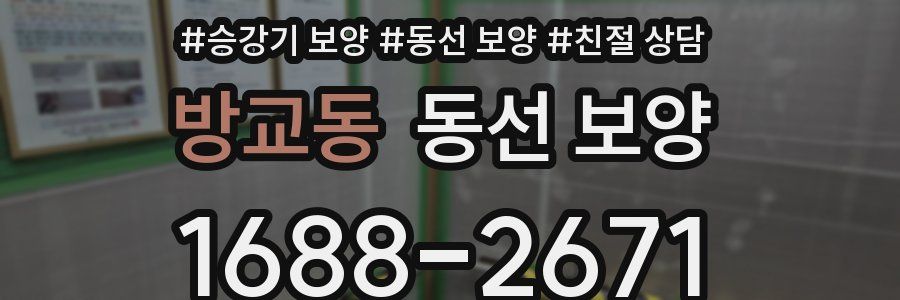 방교동 동선 보양