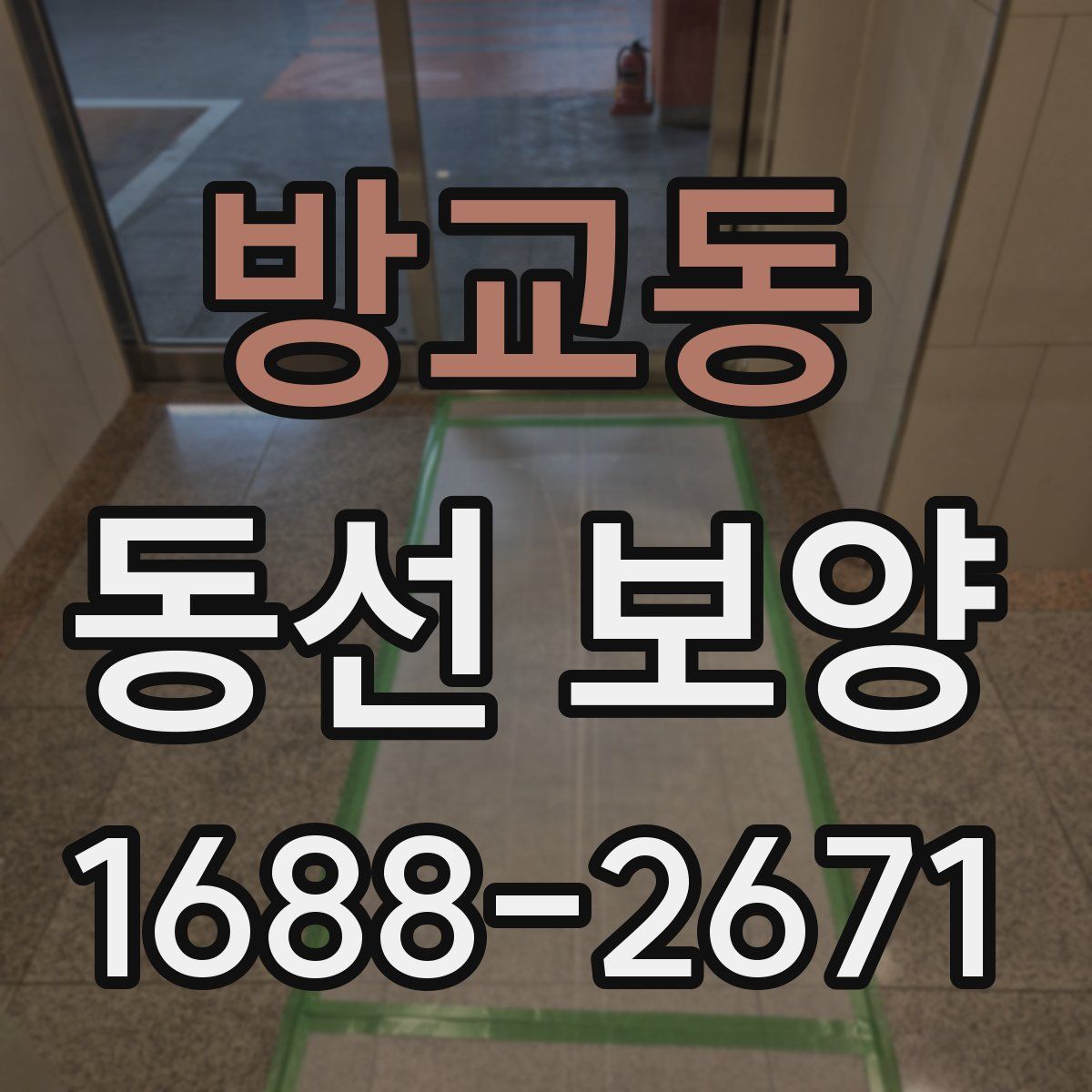 방교동 동선 보양