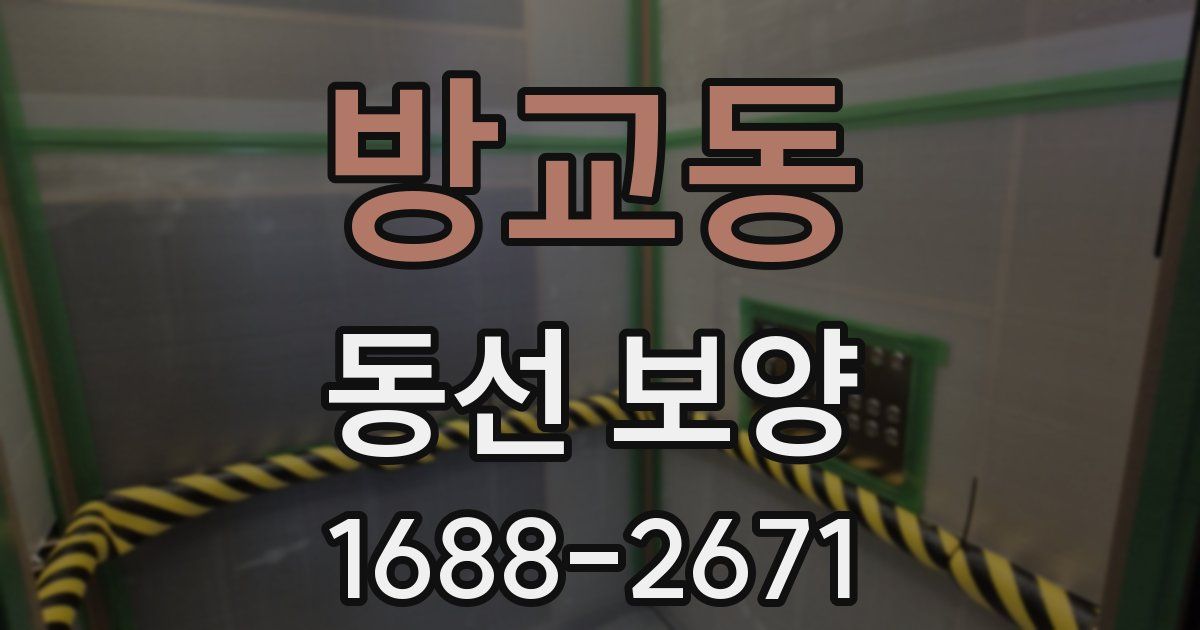 방교동 동선 보양