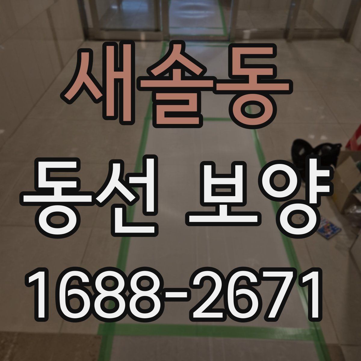 새솔동 동선 보양 업체를 볼 때 확인할 기준