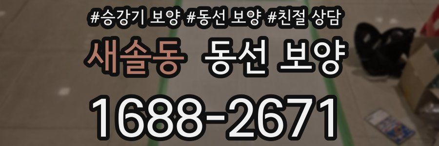 새솔동 동선 보양