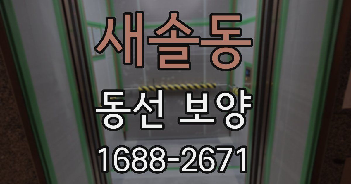 새솔동 동선 보양