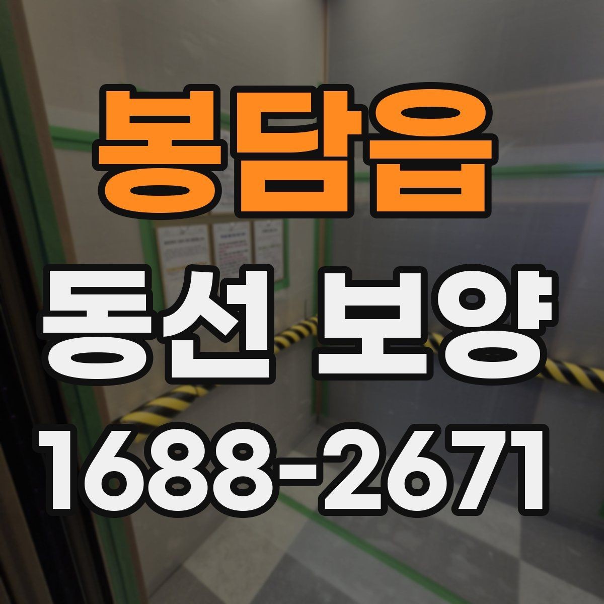 봉담읍 동선 보양 작업 전후로 비교해 보는 변화