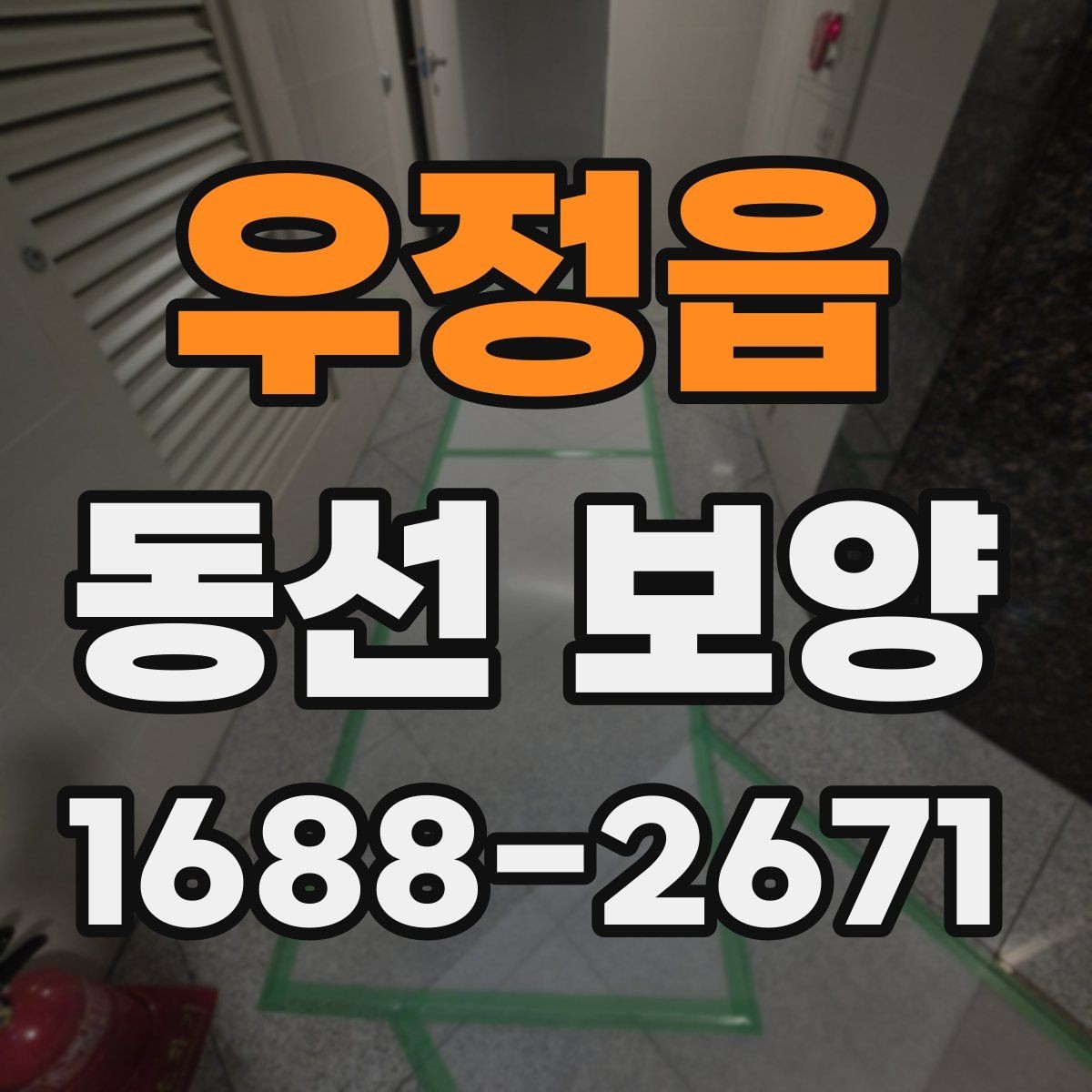 우정읍 동선 보양 선택 전 비교해야 할 항목들
