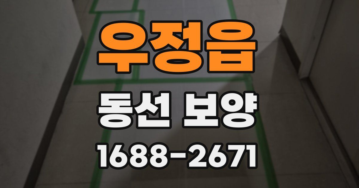 우정읍 동선 보양