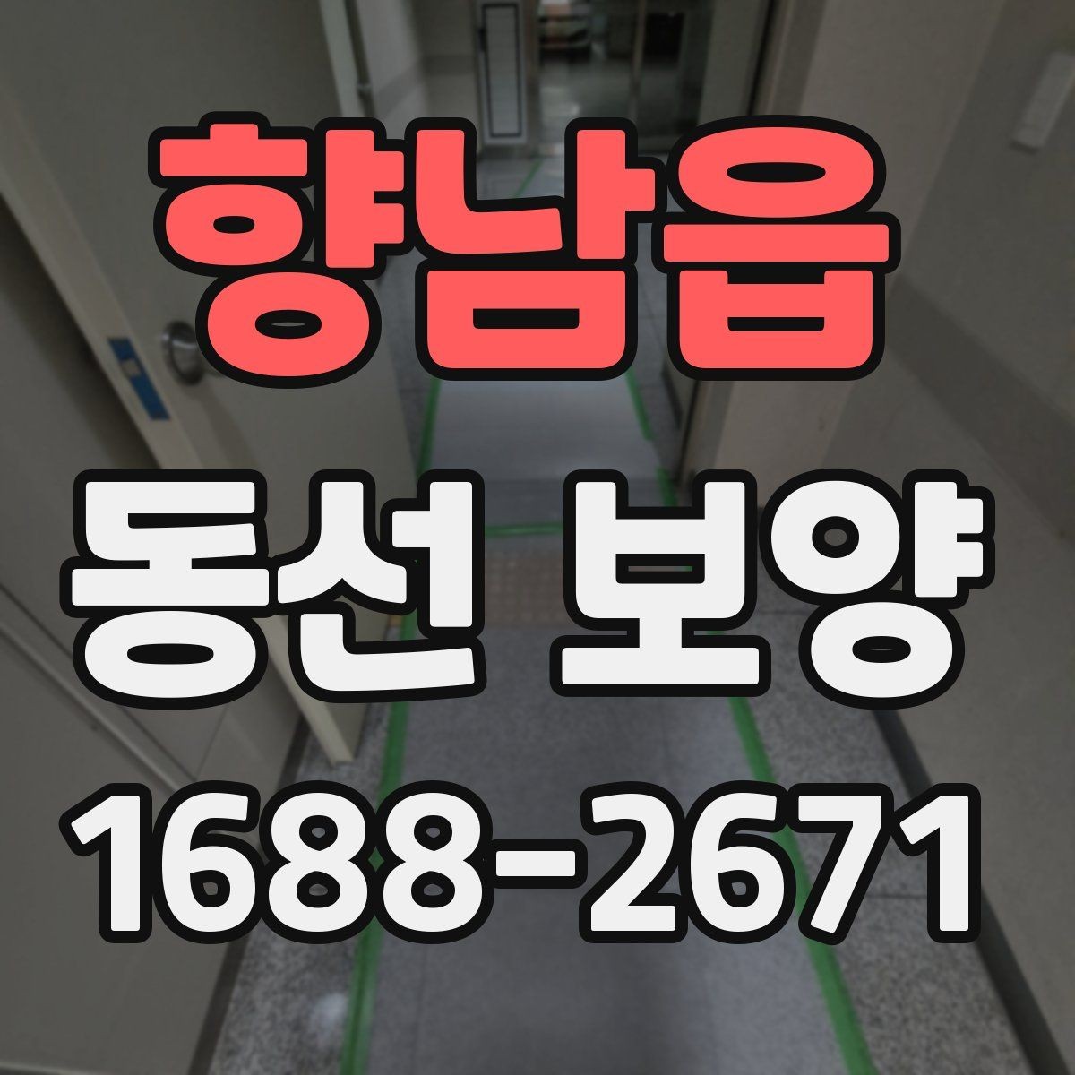 향남읍 동선 보양 작업에 맞는 일정 조율 방법