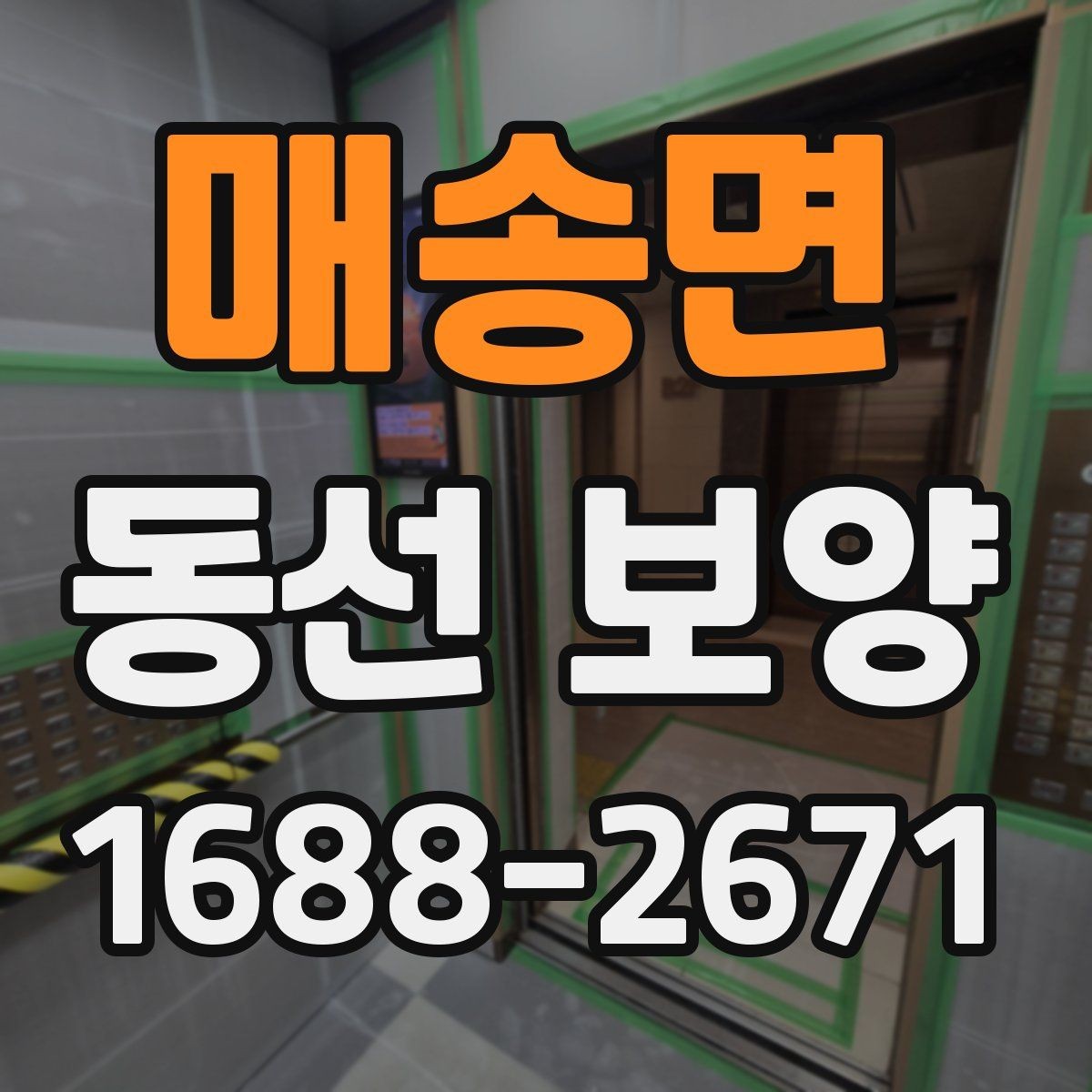 매송면 동선 보양 후 정리까지 고려해야 하는 이유