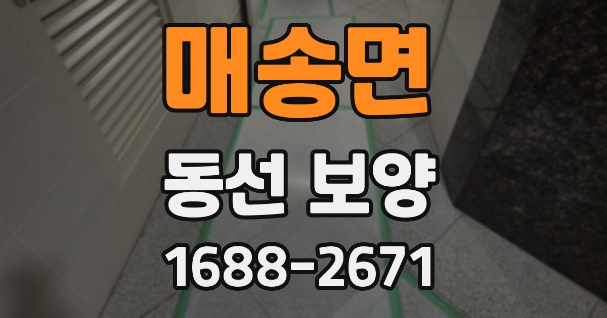 매송면 동선 보양