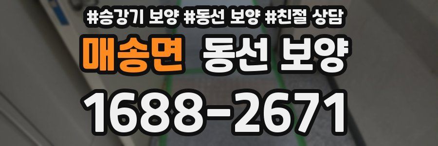 매송면 동선 보양