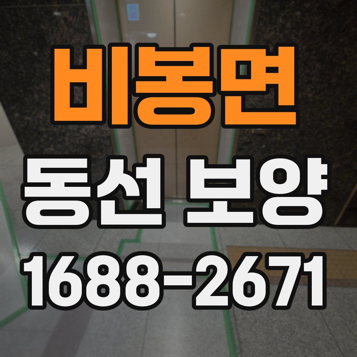 비봉면 동선 보양