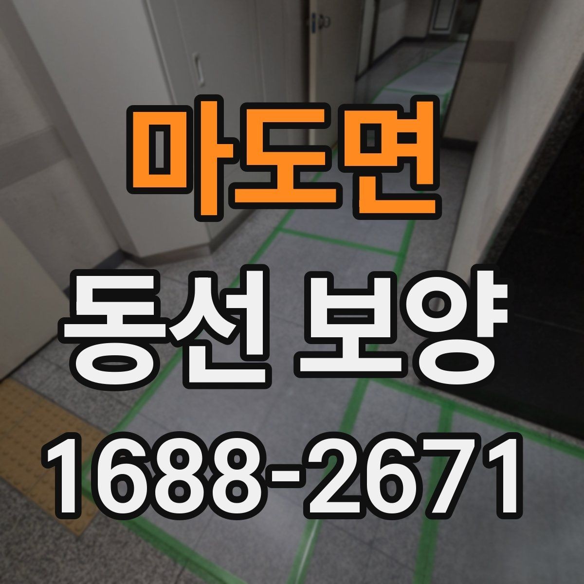 마도면 동선 보양 비용이 달라지는 요소들