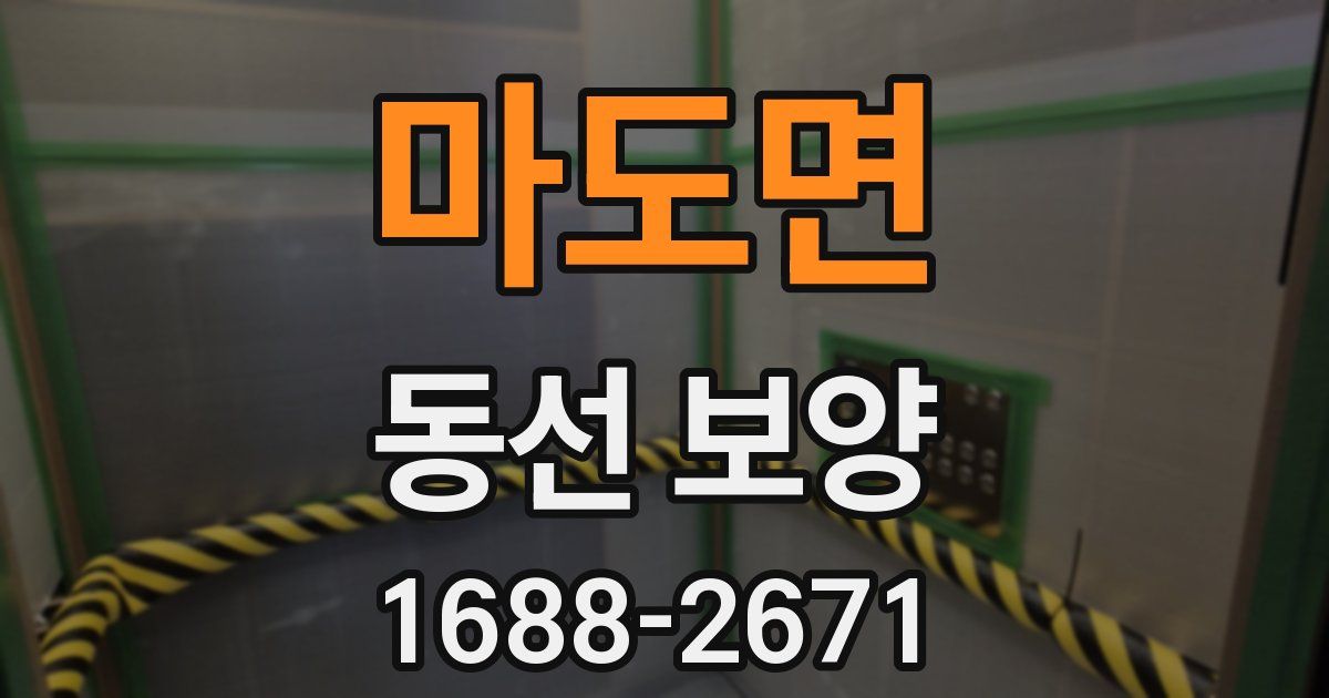 마도면 동선 보양
