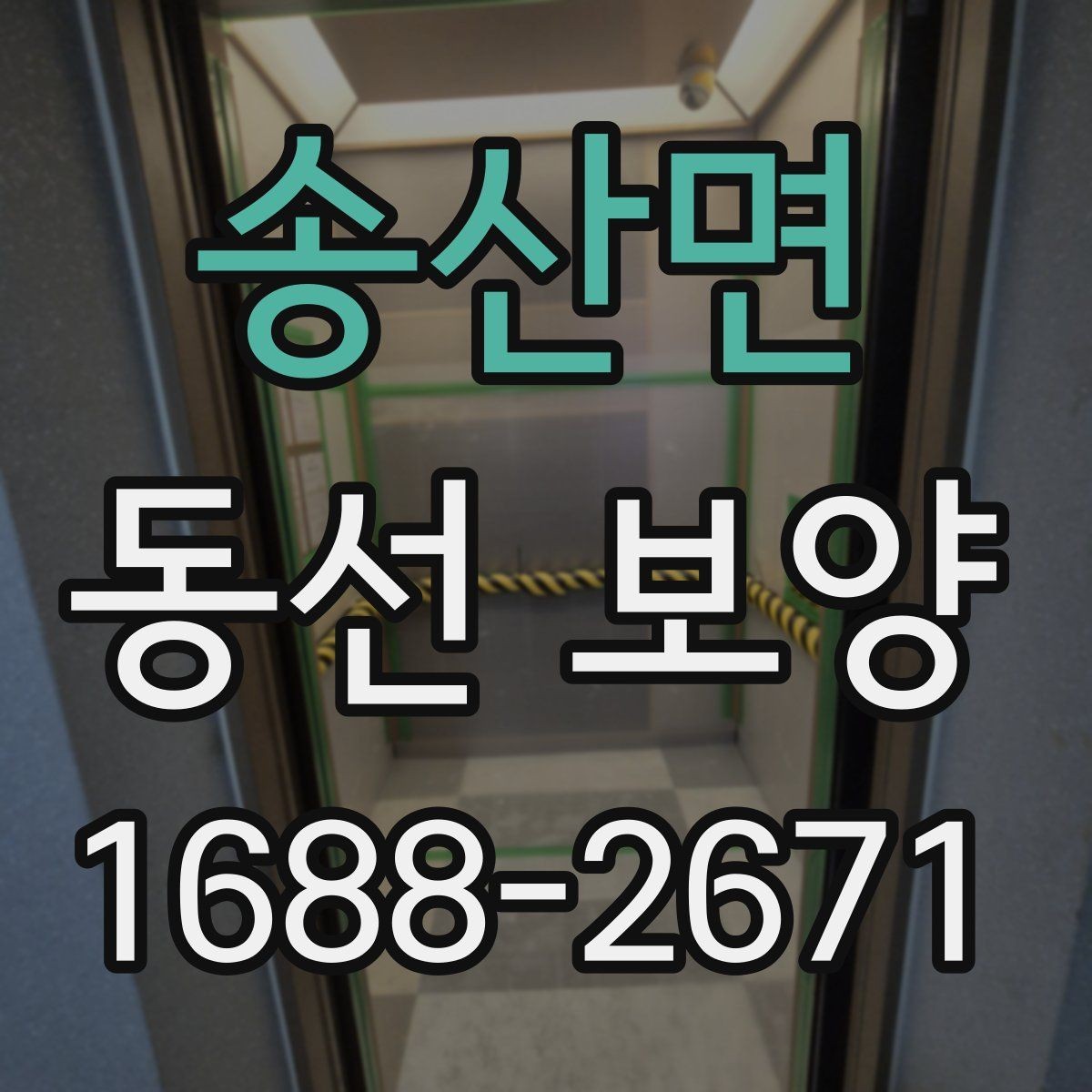 송산면 동선 보양 업체를 볼 때 확인할 기준