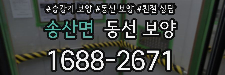 송산면 동선 보양