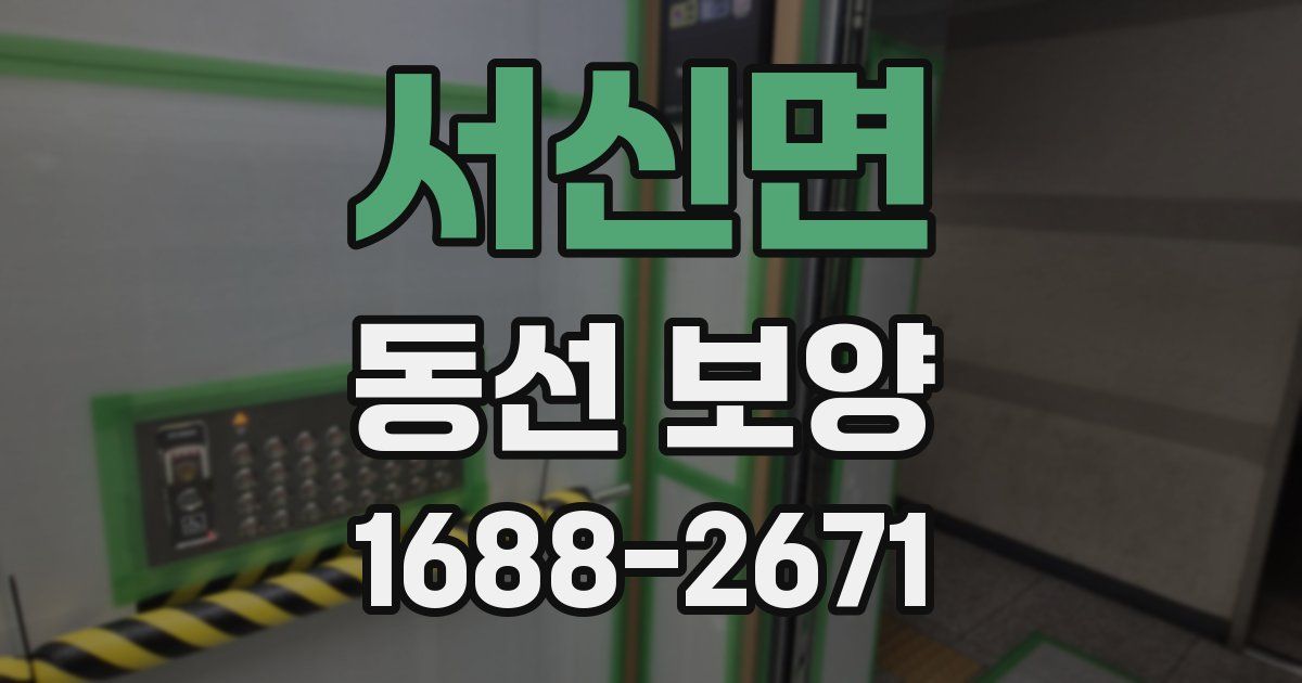 서신면 동선 보양
