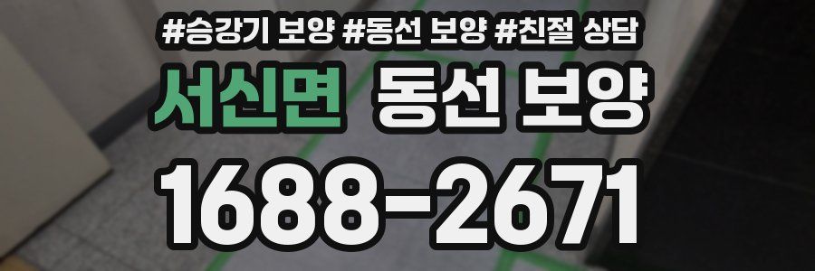 서신면 동선 보양