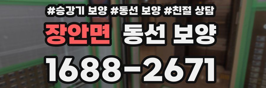 장안면 동선 보양