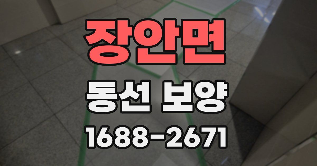 장안면 동선 보양