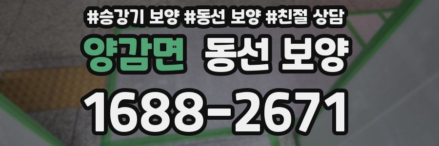 양감면 동선 보양