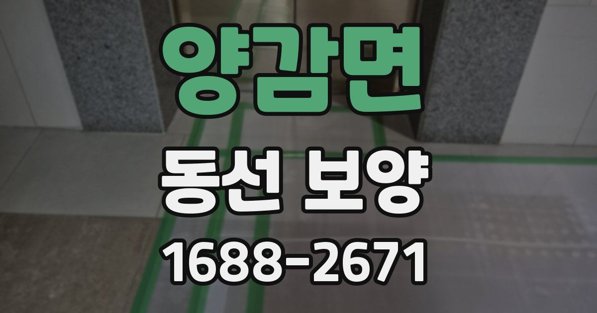 양감면 동선 보양