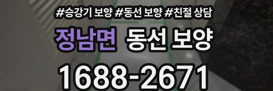 정남면 동선 보양
