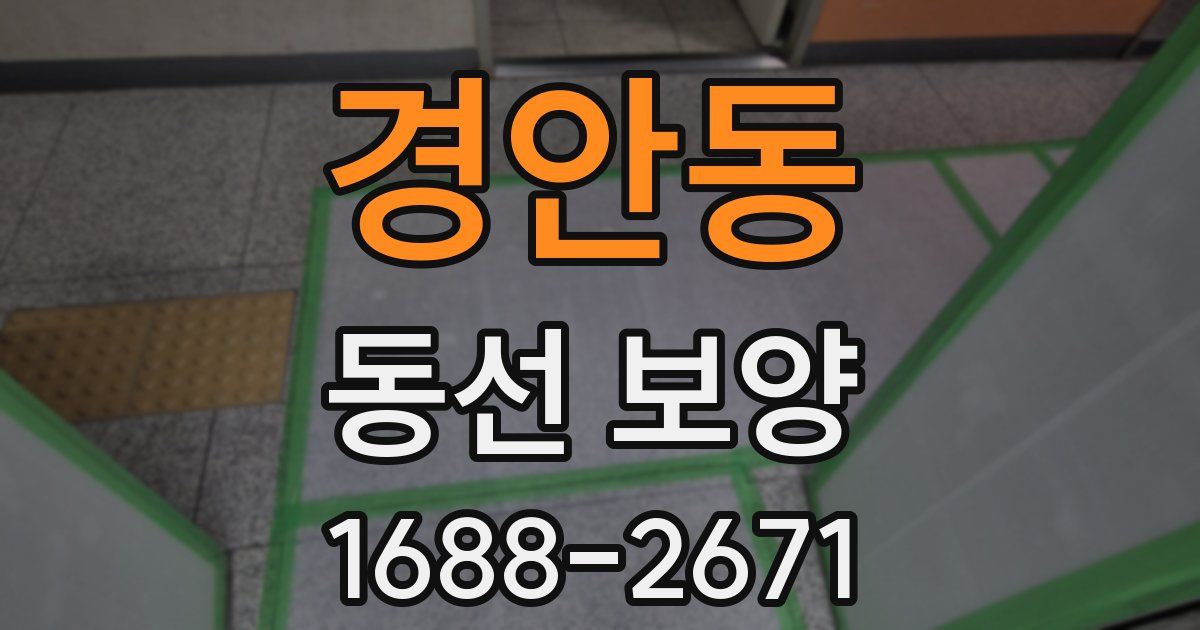 경안동 동선 보양