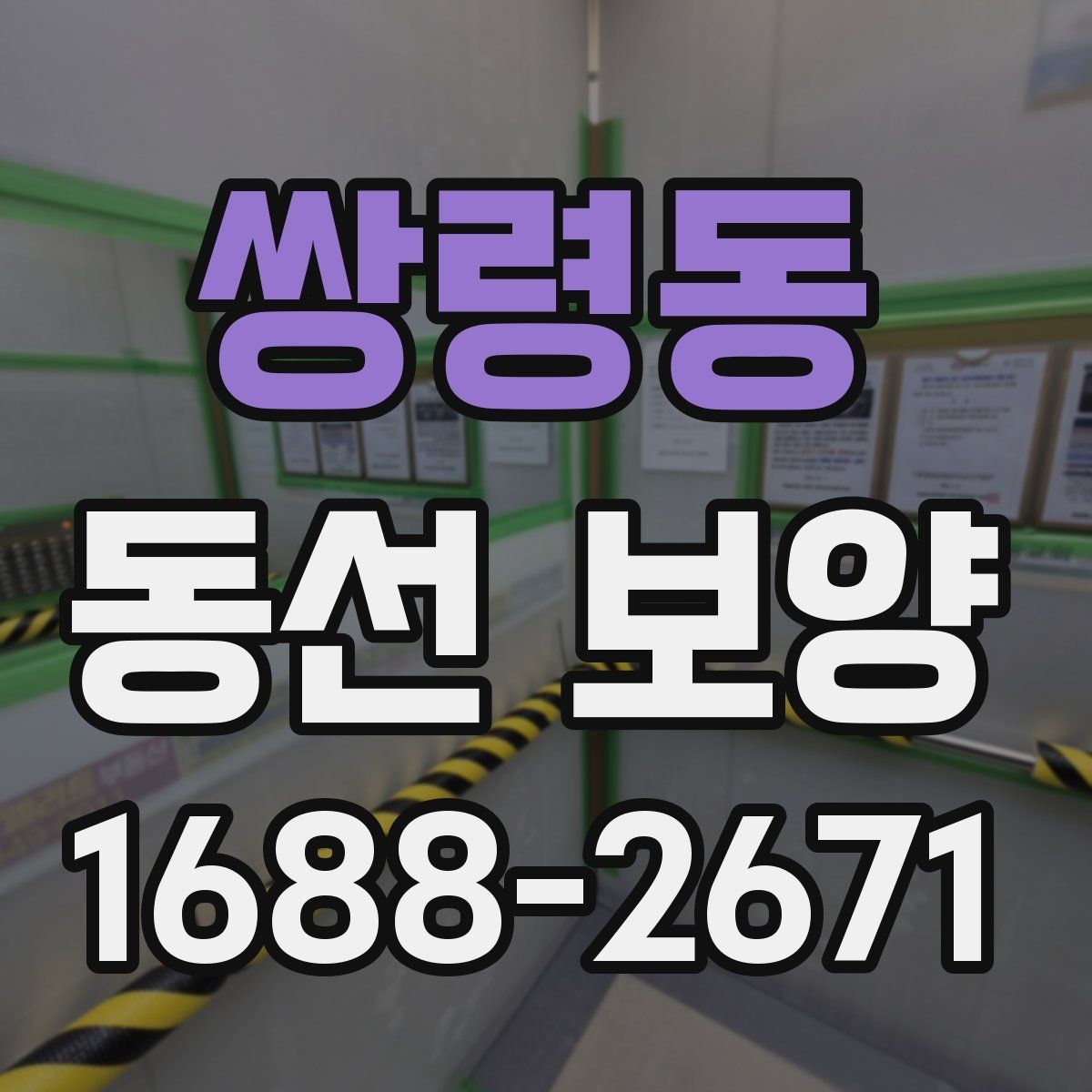 쌍령동 동선 보양 작업 전후 비교로 보는 변화