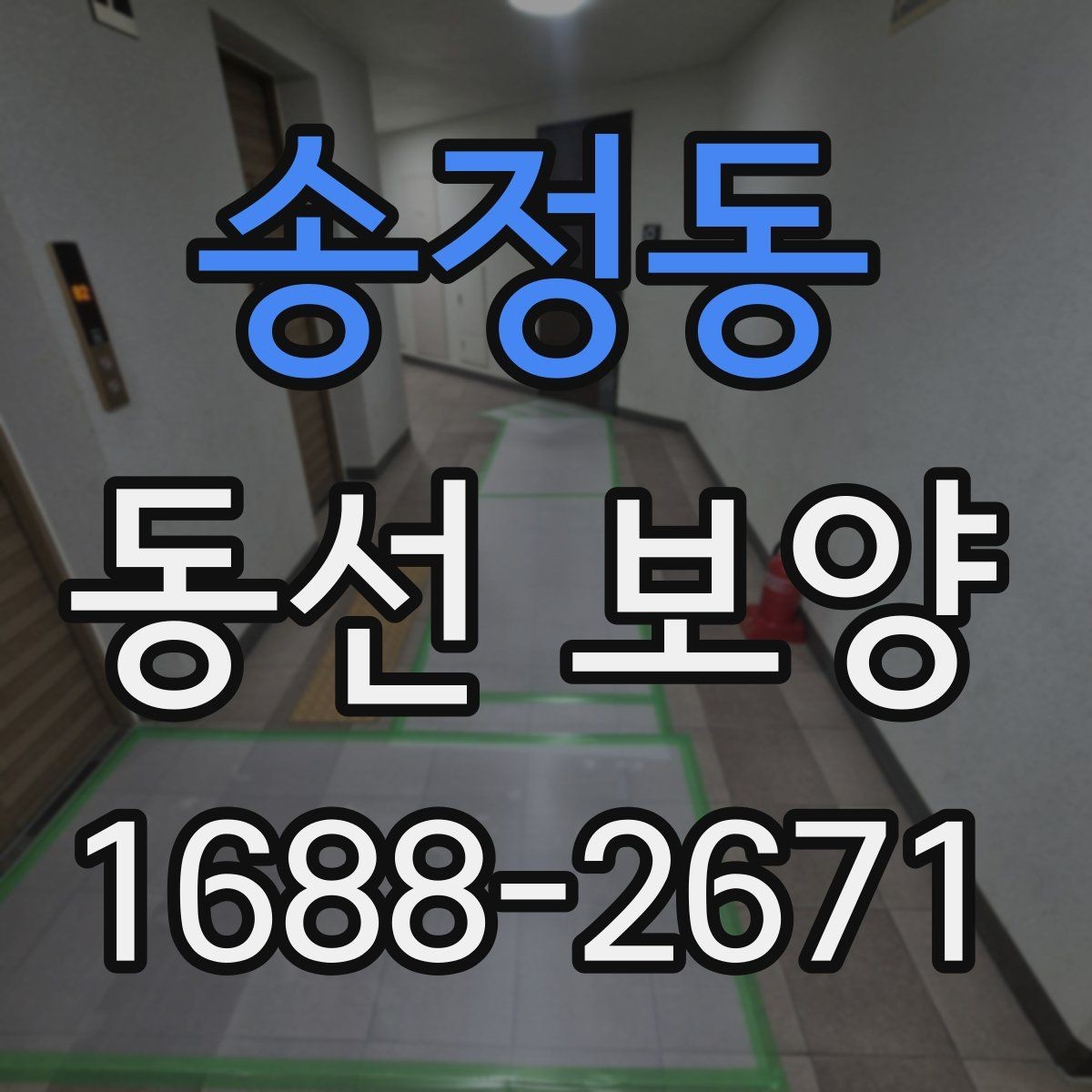 송정동 동선 보양 자재별 장단점 한눈에 보기