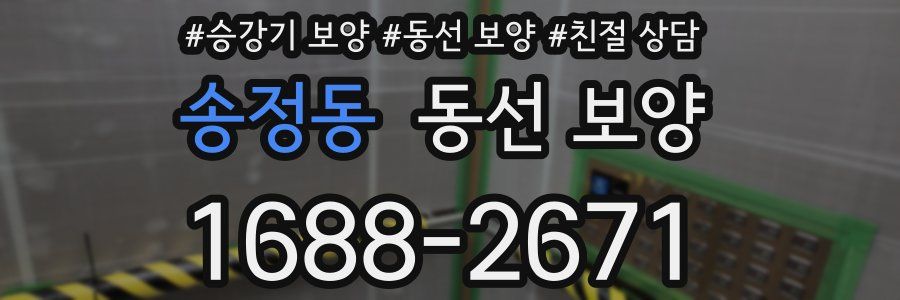 송정동 동선 보양