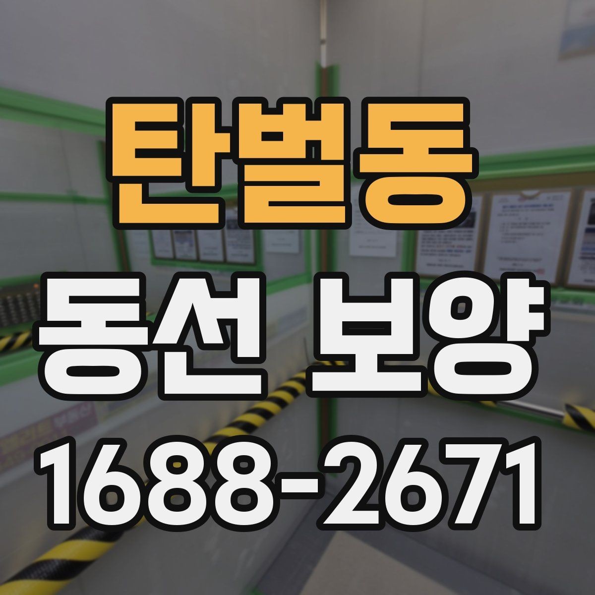 탄벌동 동선 보양 작업 범위와 현장 조건을 함께 보는 이유