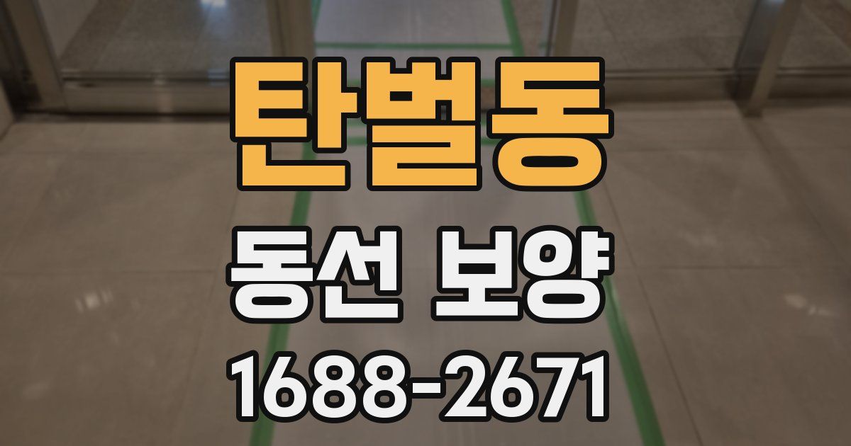 탄벌동 동선 보양