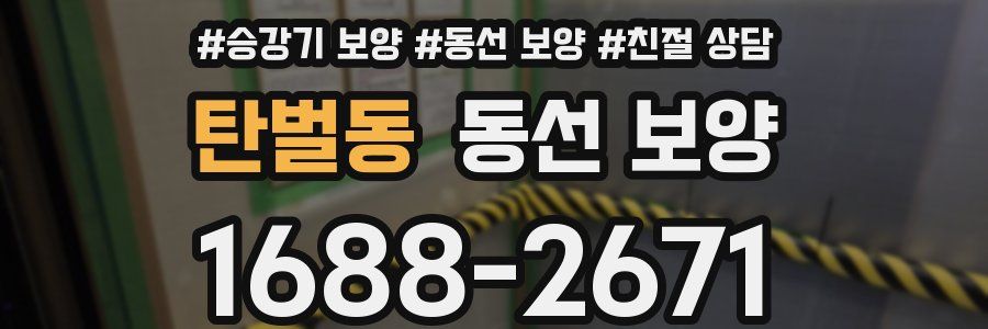 탄벌동 동선 보양