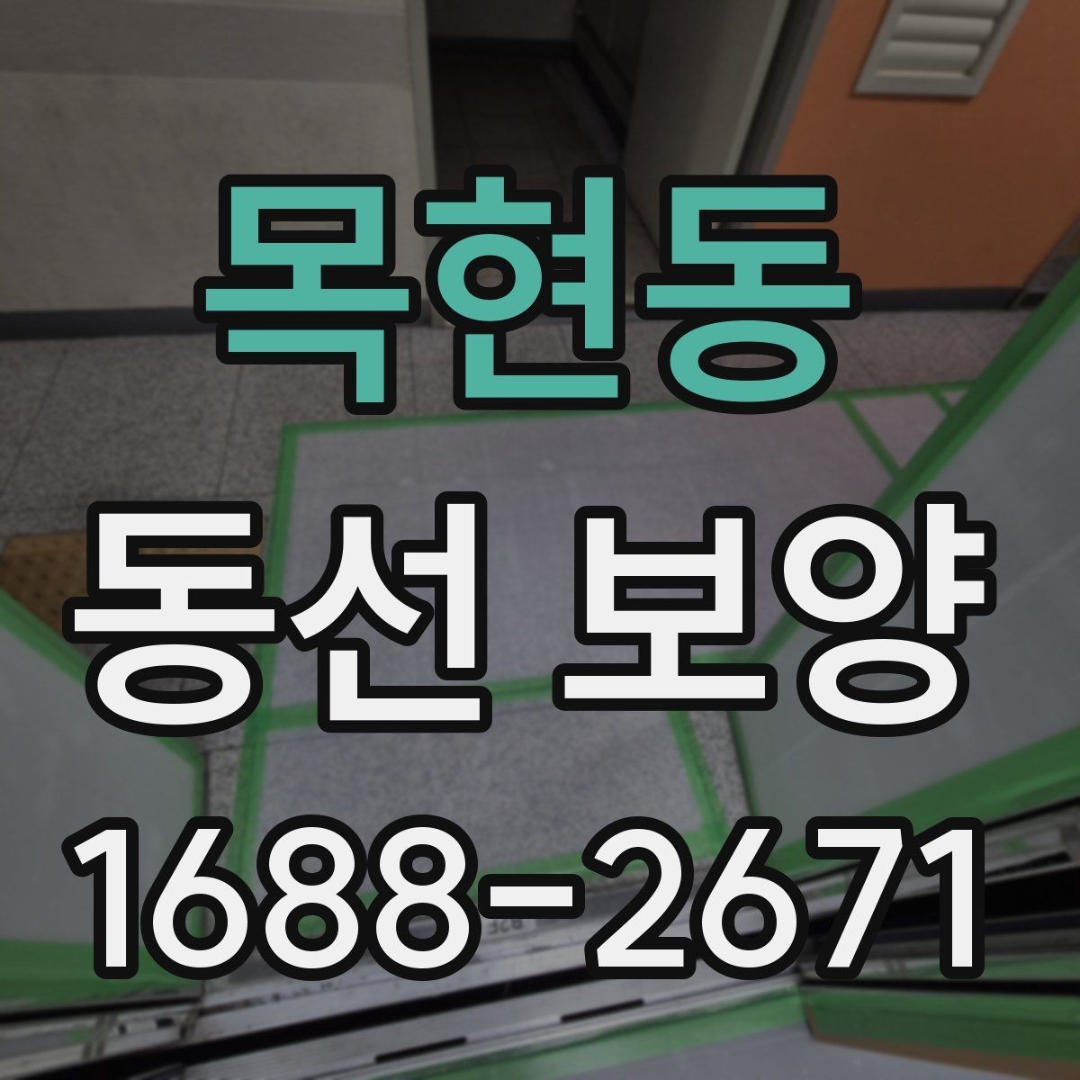 목현동 동선 보양 후 안전 관리까지 챙겨야 하는 이유