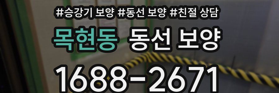 목현동 동선 보양