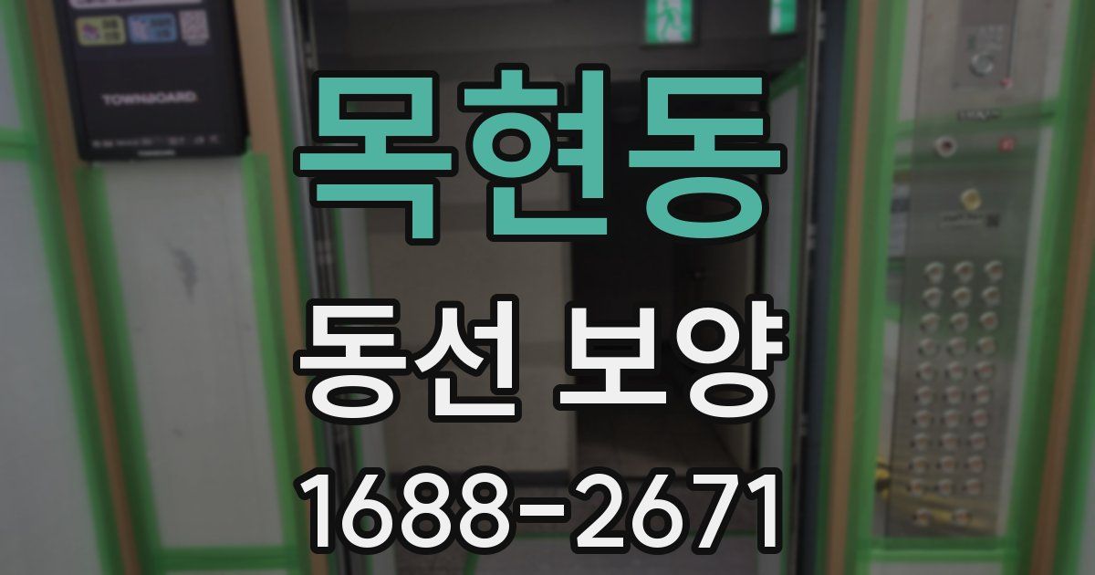 목현동 동선 보양