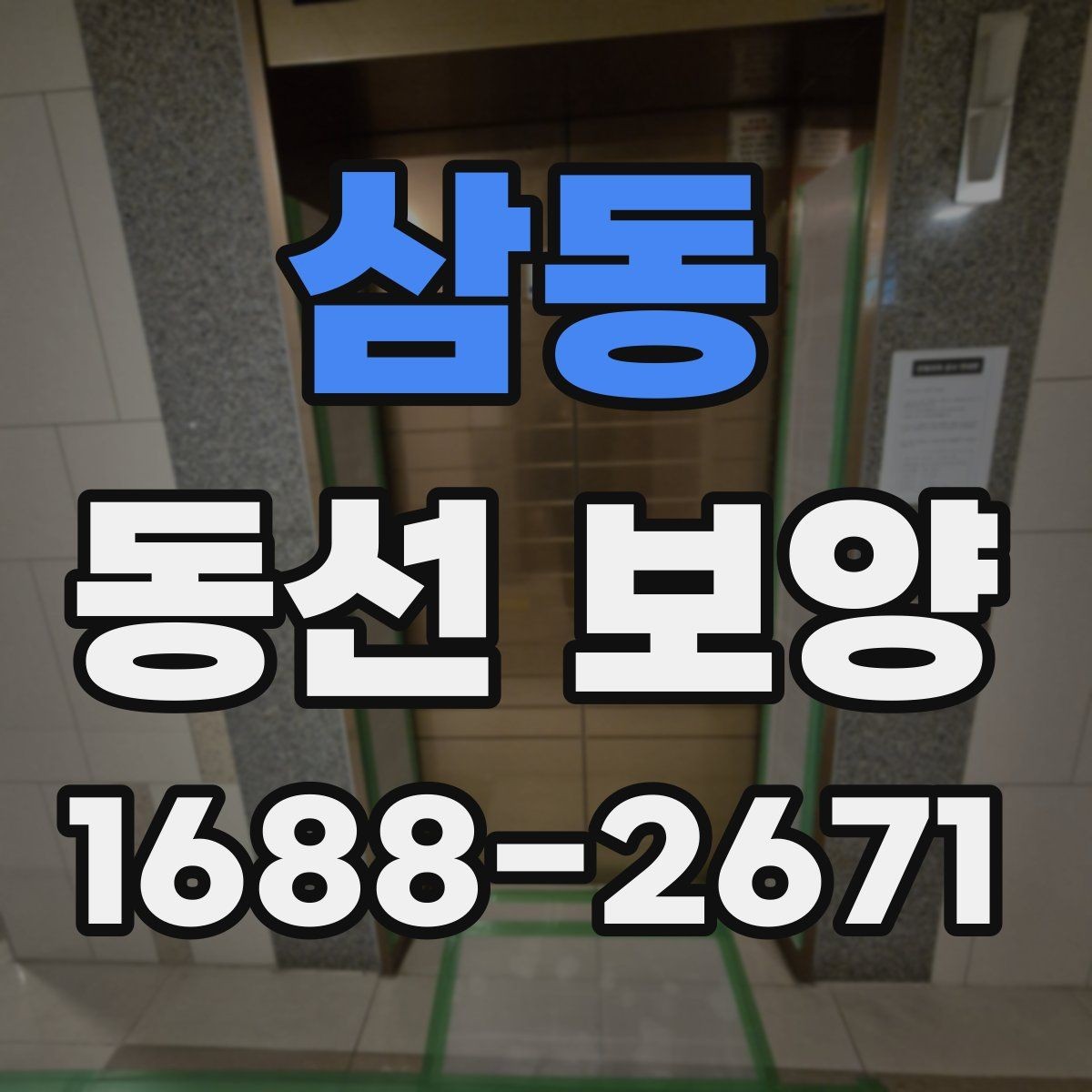 삼동 동선 보양 현장 적용 사례와 작업 노하우