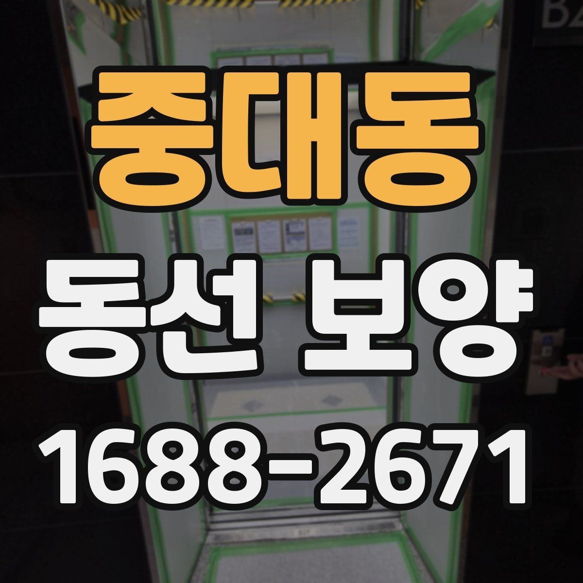 중대동 동선 보양 시 흔히 놓치는 부분들