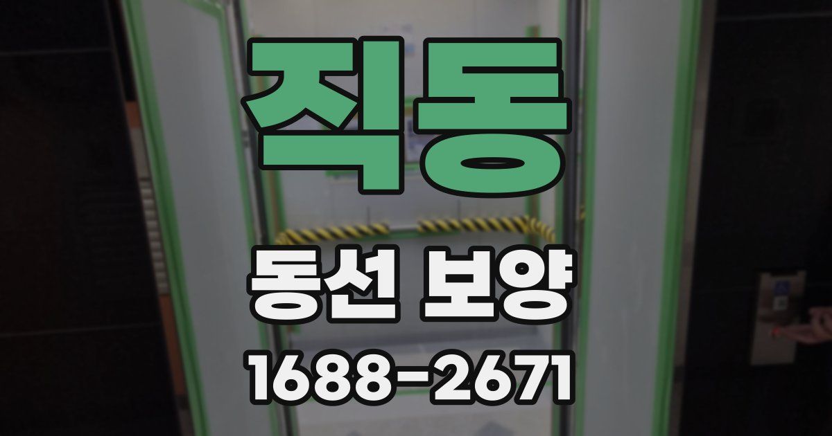직동 동선 보양