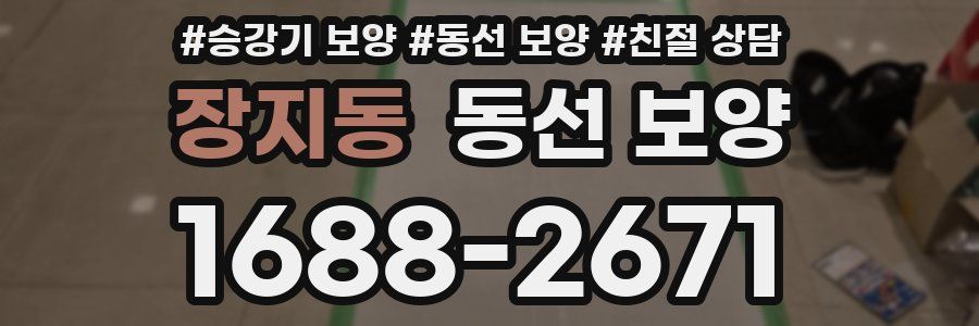 장지동 동선 보양