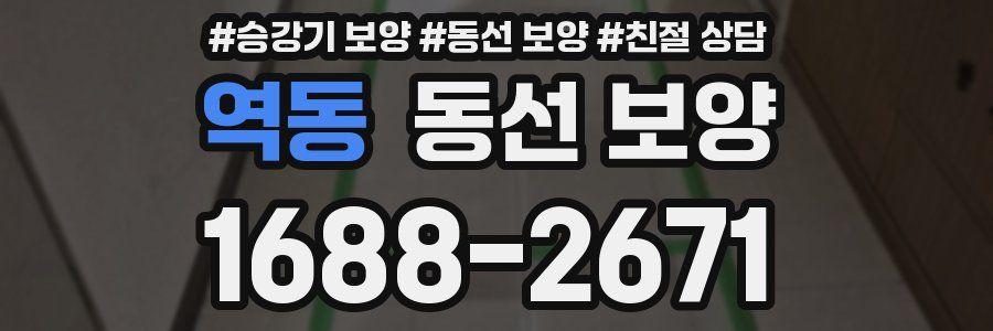 역동 동선 보양